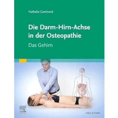 Abbildung von Die Achse Hirn Darm Becken in der Osteopathie: Das Gehirn