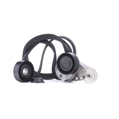 Abbildung von GATES K016DPK1838 Keilrippenriemensatz ThermalPro VOLVO: V70 2, S60 I, XC70 I Cross Country
