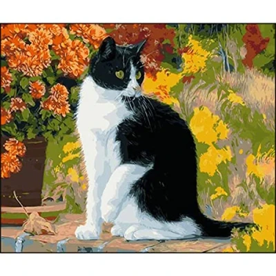 Abbildung von DIY 5D Diamant Malerei Vollbohrer Kit, round drill Schwarz Weiße Katze 20x30cm Diamond Painting Bilder Set Malen nach Zahlen Kreuzstich Stickerei Strass Mosaik Gemälde für Home Wand Dekor