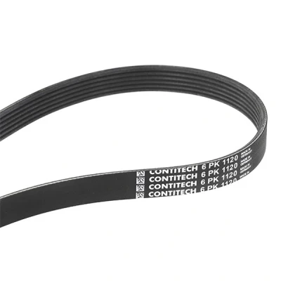 Abbildung von CONTITECH 6PK1120 Keilrippenriemen 1120 6 VOLKSWAGEN: Bora Variant, Transporter 5 Pritsche / Fahrgestell, Passat B6 AUDI: A3 Cabrio kfzteile,