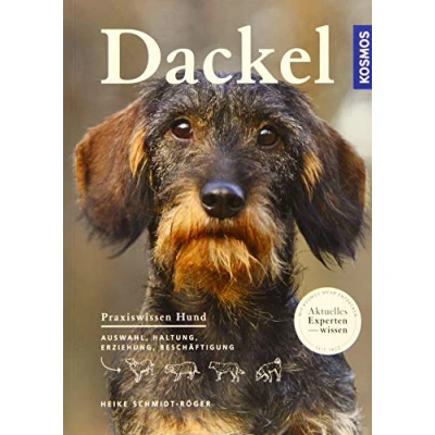 Abbildung von Dackel