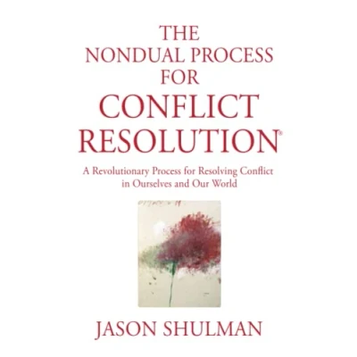 Abbildung von The Nondual Process for Conflict Resolution: A Revolutionary Resolving in Ourselves and Our World (Practical Guides to Enlightenment, Awakening, Healing)