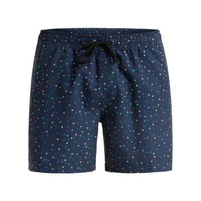 Abbildung von Quiksilver Everyday Straight Badeshorts, Herren, Größe: Large, Ktp