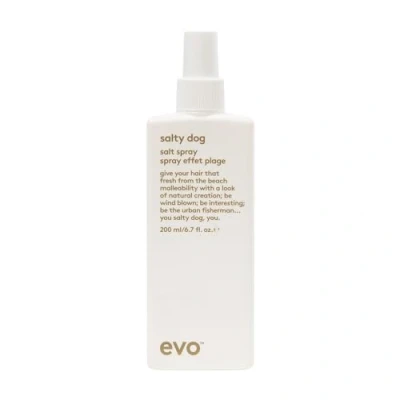 Abbildung von EVO Styling Spray Salty Dog Salt Spray, Mattes Beach mit Mineralsalzen, Volumen für feines Haar, kräftigende Haar Pflege, 200ml