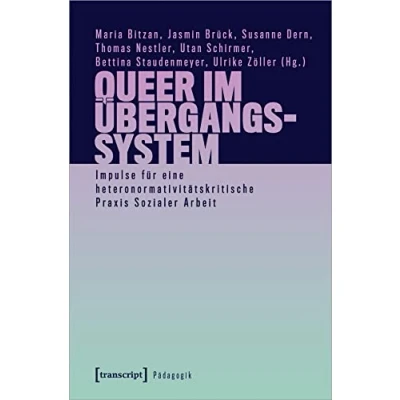 Abbildung von Queer im Übergangssystem: Impulse für eine heteronormativitätskritische Praxis Sozialer Arbeit (Pädagogik)
