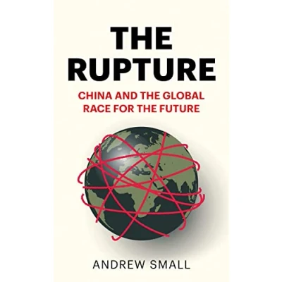 Abbildung von the Rupture: China and Global Race for Future