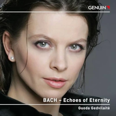 Abbildung von Echoes of Eternity