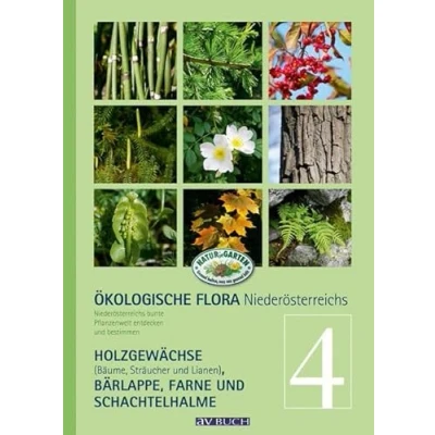 Abbildung von Ökologische Flora Nieder Österreichs Pflanzenwelt entdecken und bestimmen: Band 4 Holzgewächse (Bäume, Sträucher Lianen), Bär Lappe, ... (avBuch im Cadmos Verlag: Verlag)