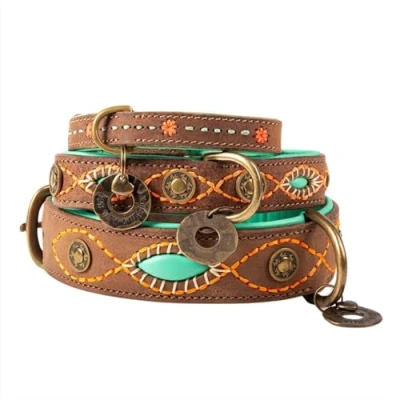 Abbildung von Dwam Halsband Joplin Hundehalsband 19 24 x 2 cm Braun Trkis Oran...