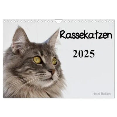 Abbildung von Rassekatzen 2025 (Wandkalender DIN A4 quer), CALVENDO Monatskalender