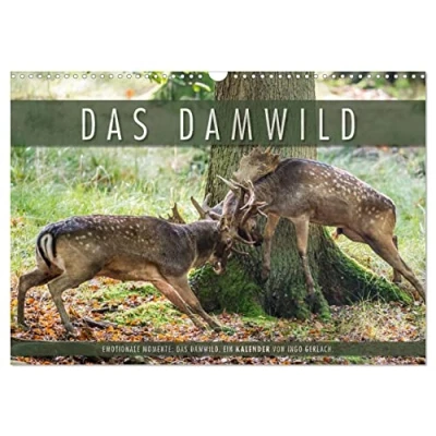 Abbildung von Emotionale Momente: Das Damwild. (Wandkalender 2025 DIN A3 quer), CALVENDO Monatskalender