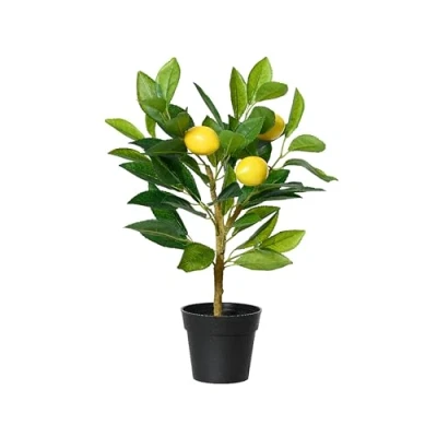 Abbildung von Kunstbaum CITRON, Gelb, Grün, Kunststoff, Naturgetreu, Zitronenbaum, Kaemingk, Höhe 43 cm