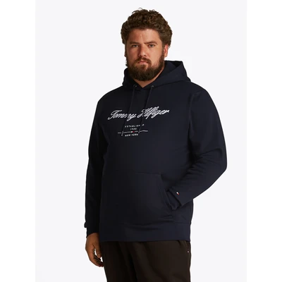 Abbildung von Tommy Hilfiger Script LOGO Hoody Sweatshirt, Herren, Größe: 4XL, Desert sky