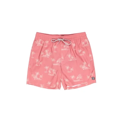 Abbildung von Billabong Vacay Lb Boardshorts Mann