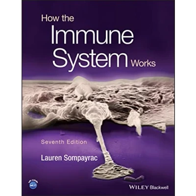 Abbildung von How the Immune System Works