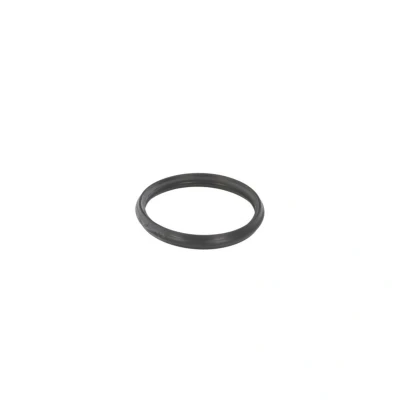 Abbildung von Dichtung, Thermostat EPS 1.890.720