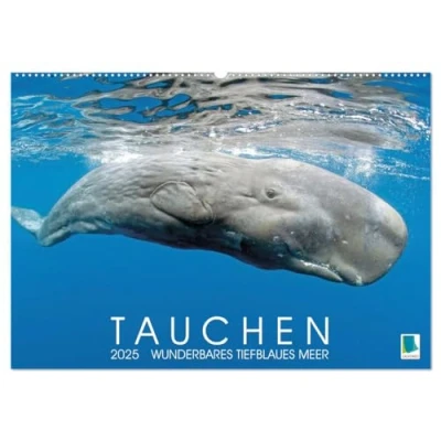 Abbildung von Tauchen: Wunderbares tiefblaues Meer (Wandkalender 2025 DIN A2 quer), CALVENDO Monatskalender