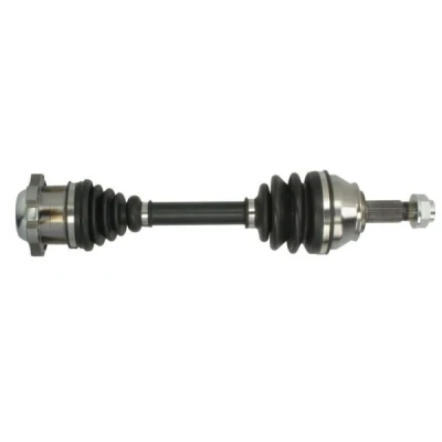 Abbildung von Antriebswelle PASCAL G2F006PC