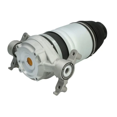Abbildung von Luftfeder, Fahrwerk MAGNUM TECHNOLOGY MZW004MT