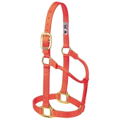 Abbildung von Weaver Leather Original Pferdehalfter, Nicht verstellbar, Nylon, mittelgroß, Orange