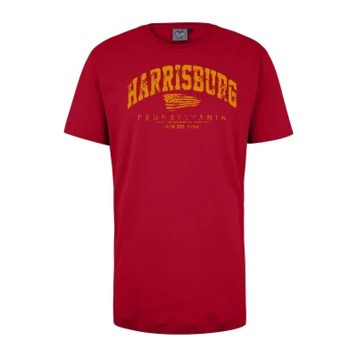 Abbildung von AHORN SPORTSWEAR T Shirt &quot;HARRISBURG&quot;, mit sportlichem Print