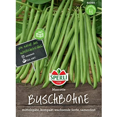 Abbildung von Sperli Buschbohnensamen Mascotte 80089 Resistente Sorte fadenlos kompakt ca. 15 cm Samen Gemüse, Saatgut, Gemüse Pflanzen
