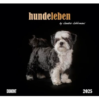 Abbildung von DUMONT Hundeleben 2025 Wandkalender, 38x35,5cm, Foto Kunst Kalender mit charmanten Tiermotiven und Zitaten, by Sandra Schürmans: Schürmans