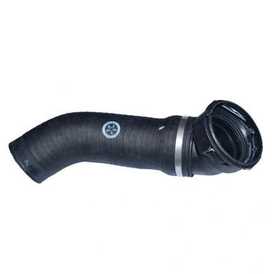 Abbildung von THERMOTEC DCB002TT Ladeluftschlauch BMW: X3