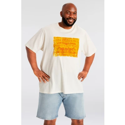 Abbildung von Levi&#039;s Plus Relaxed FIT TEE Tshirt print, Herren, Größe: 4XL, archival 2hp patch egret