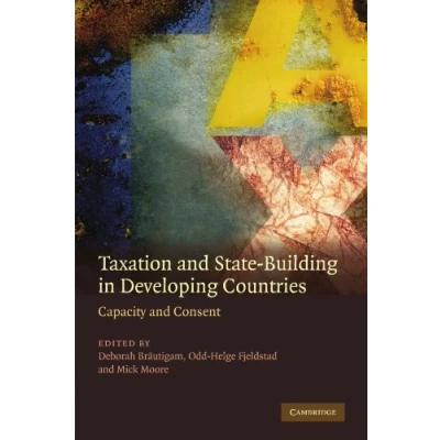 Abbildung von Taxation and State Building in Developing Countries: Capacity Consent