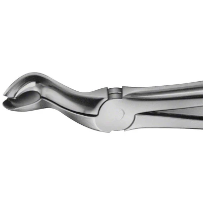 Abbildung von ANATOMICA Zahnzange Figur 121 OK Weisheitszähne