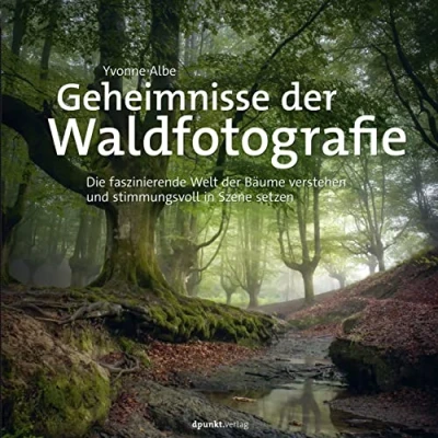 Abbildung von Geheimnisse der Waldfotografie: Die faszinierende Welt Bäume verstehen und stimmungsvoll in Szene setzen