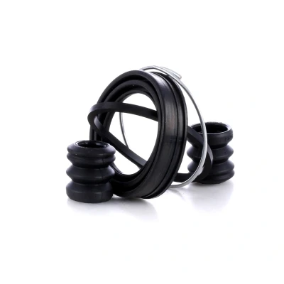 Abbildung von RIDEX 405R0029 Bremssattel Reparatursatz Vorderachse 48 RENAULT: 19 II Cabrio, TWINGO 2, 1, DACIA: Logan I MCV, Sandero