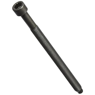 Abbildung von REINZ 14 32122 01 Zylinderkopfschraubensatz Innenvielzahn VOLKSWAGEN: Golf 4 Schrägheck, Variant, Bora SEAT: Leon I Schrägheck