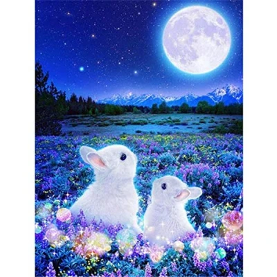 Abbildung von Puzzle 3000 Teile Welpenrätsel, Zwei Kaninchen mit dem Mond，3000 Stück Spiel Puzzles für Erwachsene Kinder, Geschicklichkeitsspiel die Ganze Familie, Bunte 48.03x31.88 Zoll (122 x 81cm)