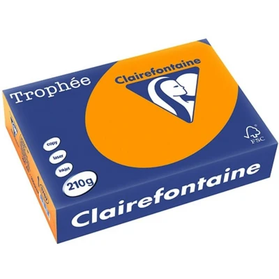 Abbildung von 4 x Clairefontaine Kopierpapier Trophee A4 210g/qm VE=250 Blatt intens