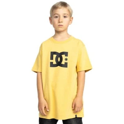 Abbildung von DC Shoes STAR Tshirt print für Kinder, Größe: 158/164, Xyyb rattan