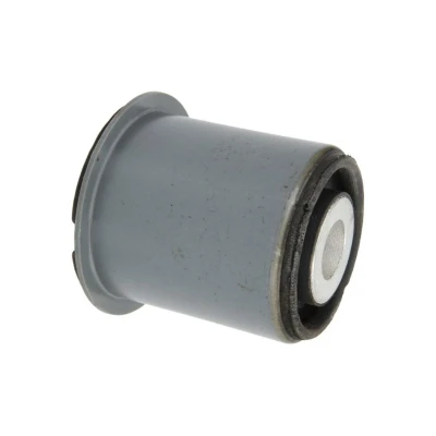 Abbildung von REINHOCH RH15 0023 Achslager Hinterachse beidseitig, hinten Kunststoff VOLKSWAGEN: Passat CC, B6 Variant, B7 Limousine