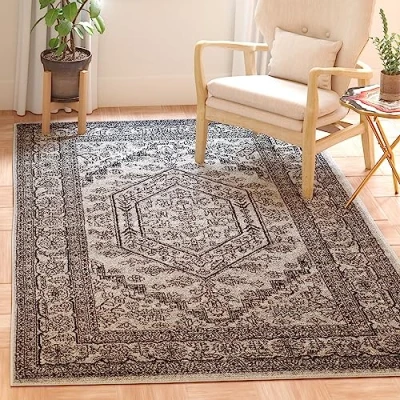 Abbildung von SAFAVIEH Traditionell Teppich für Wohnzimmer, Esszimmer, Schlafzimmer Adirondack Collection, Kurzer Flor, Silber und Schwarz, 122 X 183 cm