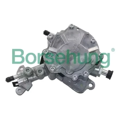 Abbildung von Borsehung B14919 Unterdruckpumpe VOLKSWAGEN: Passat B6 Variant, Golf 5 Schrägheck, B5 GP AUDI: A4 B7 Avant, A3 Avant