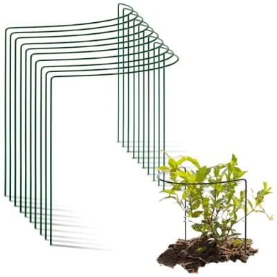 Abbildung von Novatool 10 Strauchstütze Metall halbrund 40 cm Ø35 hoch grün Staudenhalter Blumenhalter Rankengewächs Pflanzenstütze Blumenstütze Staudenstütze Rankhilfe Strauchhalter Rosenstütze