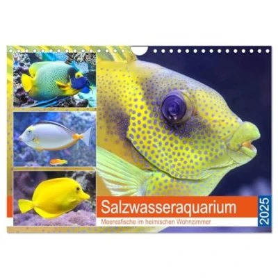 Abbildung von Salzwasseraquarium. Meeresfische im heimischen Wohnzimmer (Wandkalender 2025 DIN A4 quer), CALVENDO Monatskalender