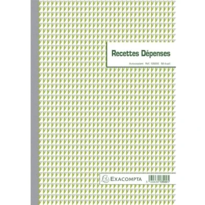 Abbildung von EXACOMPTA 13500E Manifold&quot;Recettes et DÈpenses&quot;, 297 x 210 mm VE 1