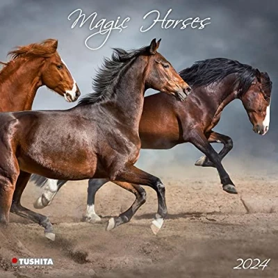 Abbildung von Magic Horses 2024: Kalender 2024 (Wonderful World)