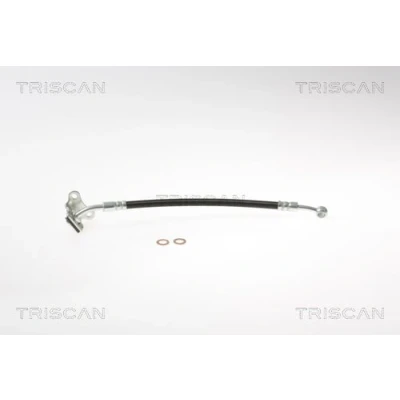 Abbildung von TRISCAN 8150 18116 Bremsschläuche 259 F10x1 KIA: CARNIVAL / GRAND 3