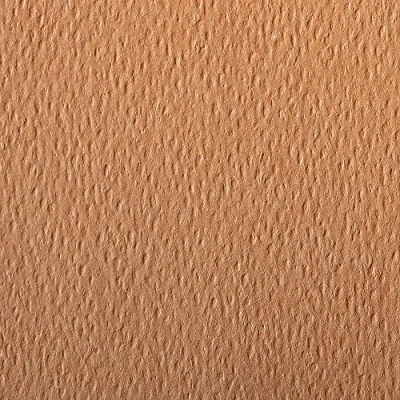 Abbildung von Clairefontaine 90887C Packung (mit 5 Bögen Zeichenpapier Etival Color, DIN A4, 21 x 29,7 cm, 160g, gekörnt, ideal für Trockentechnik und Einrahmen) lachs