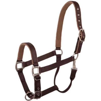 Abbildung von BR Halter Event Full Dark Chocolate Braun