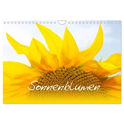 Abbildung von Sonnenblumen die Blumen der Lebensfreude (Wandkalender 2025 DIN A4 quer), CALVENDO Monatskalender
