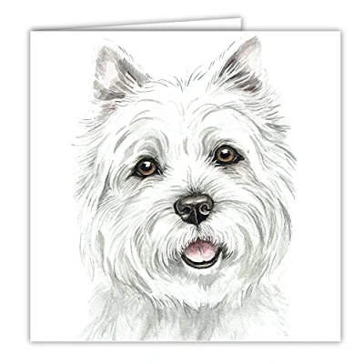 Abbildung von Maturi Blanko Grußkarte mit Aquarellbild West Highland Terrier Hund