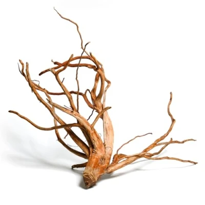 Abbildung von M&amp;S Reptilien Terrarium &#039;&#039;Lagune&#039;&#039;Driftwood (Treibholz) &#039;&#039;Hibiscus tiliaceus&#039;&#039; 40 60 cm (smal